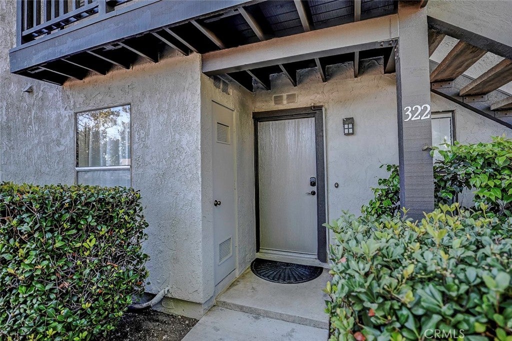 322 Orange Blossom