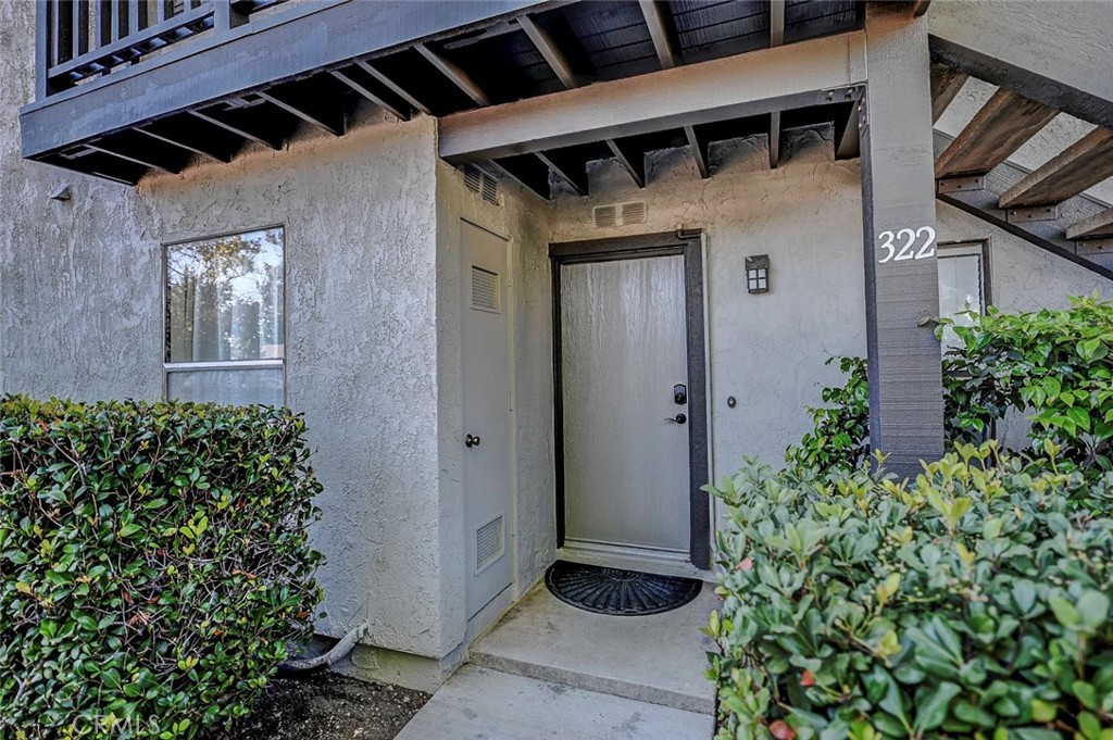 322 Orange Blossom