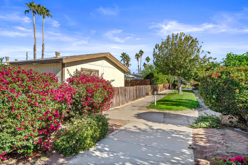 Desert Grove - Residential