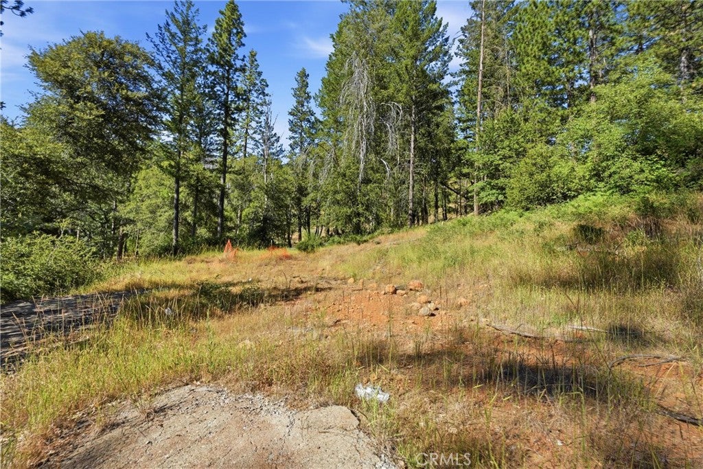 16132 Ponderosa