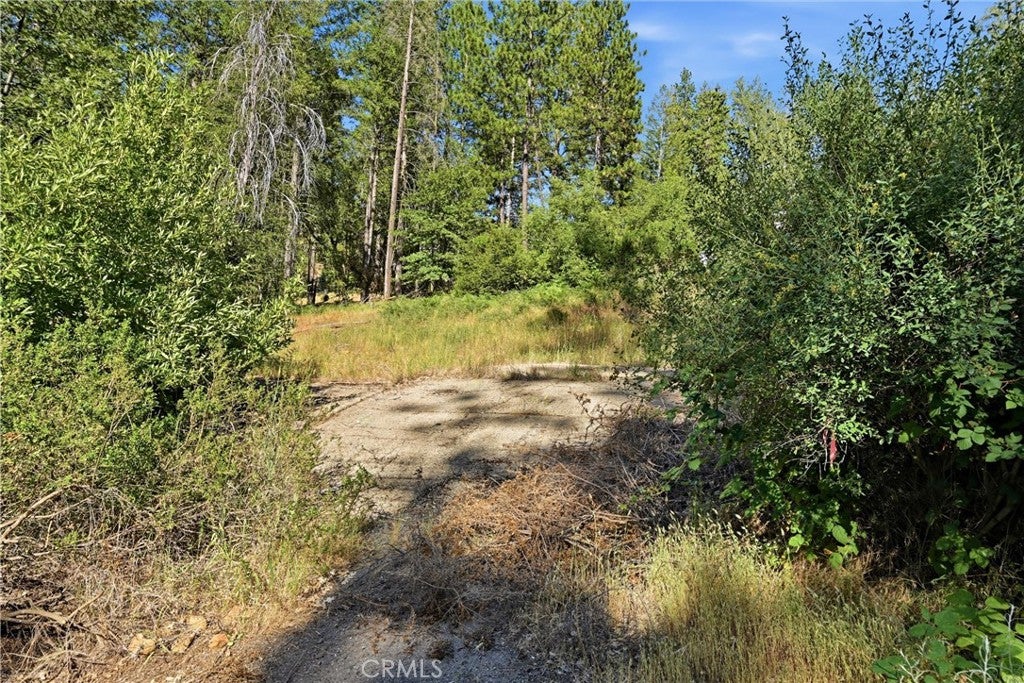 16132 Ponderosa
