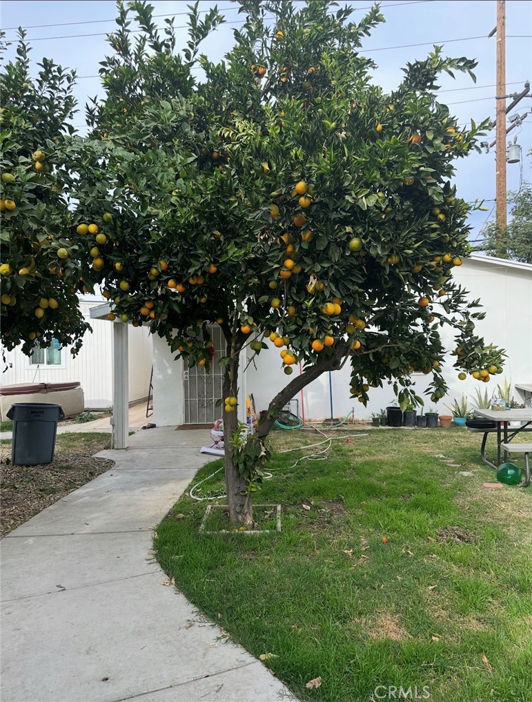 Photo 1 of 5 — 1632 Gould, Loma Linda, CA 92354