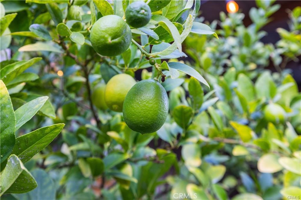 Toscana Series (West Creek Collection) (TSCNA) - Residential Lease