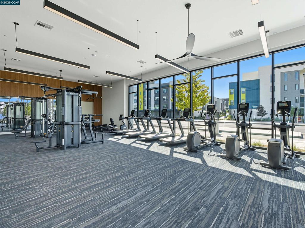 WARM SPRINGS - Residential