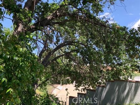 Meadow Ridge Condos (819) - Residential Lease