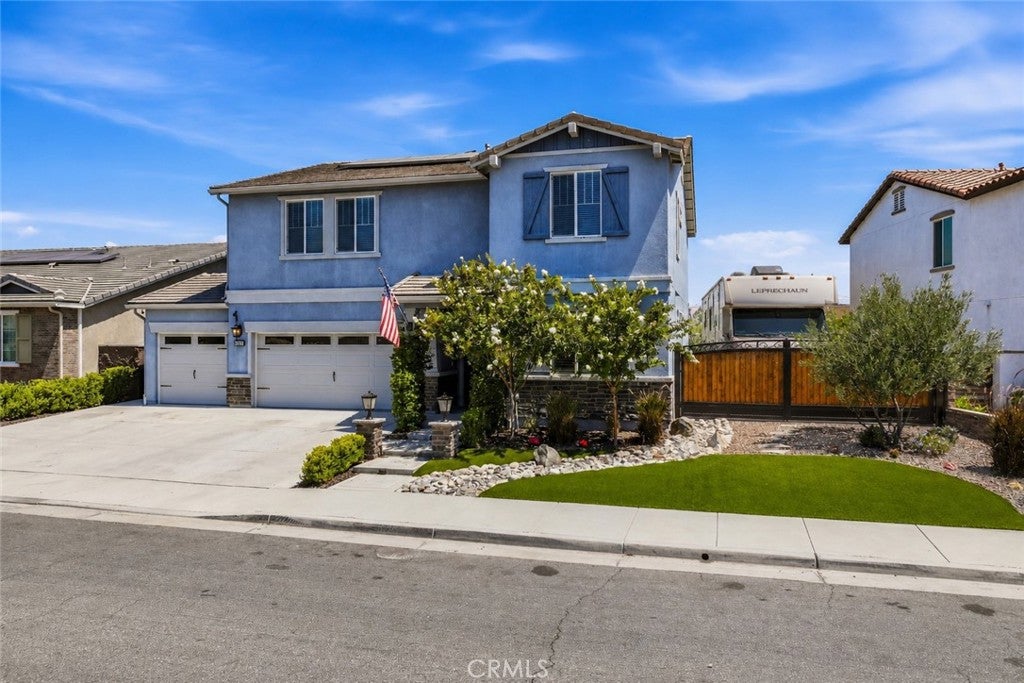29136 Tanoak
