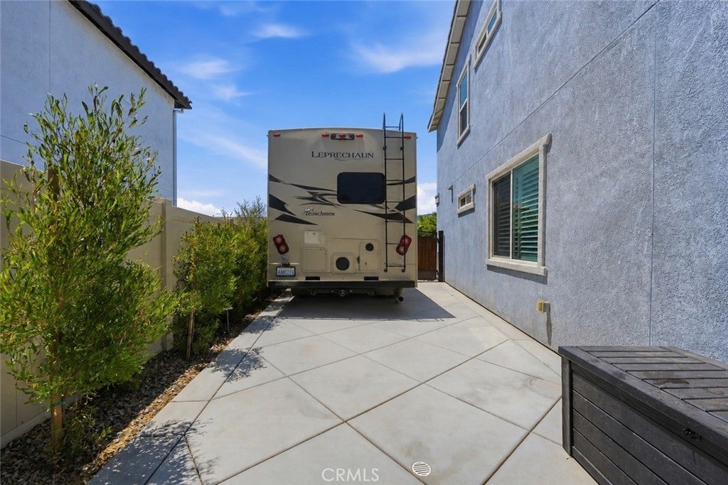 29136 Tanoak