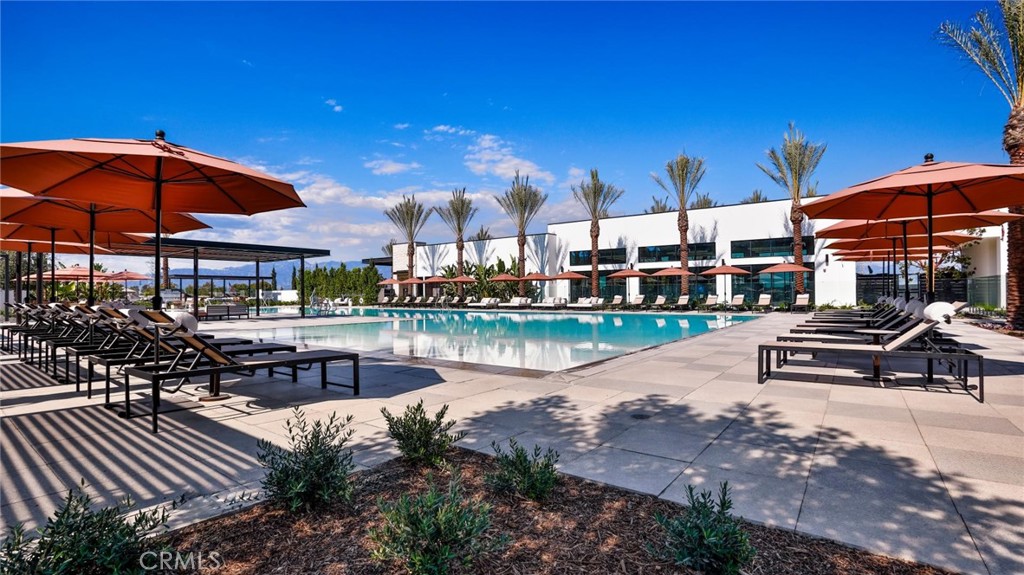505 Verbena Way
