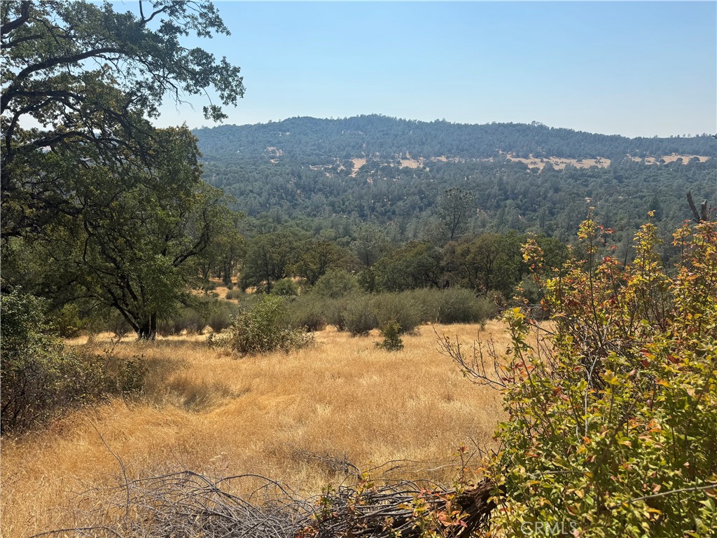 20 acre parcel ready for a new owner, this property is gently sloping for most of the 20 acres. Lots of mature oak trees for ample shade.