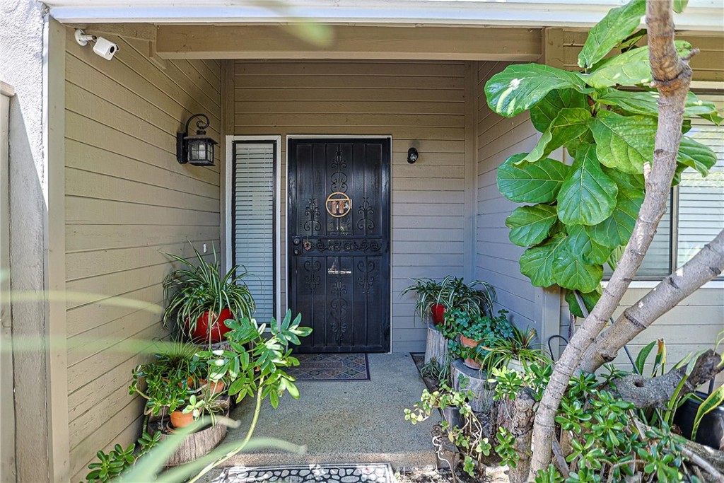 444 Bryson Springs
