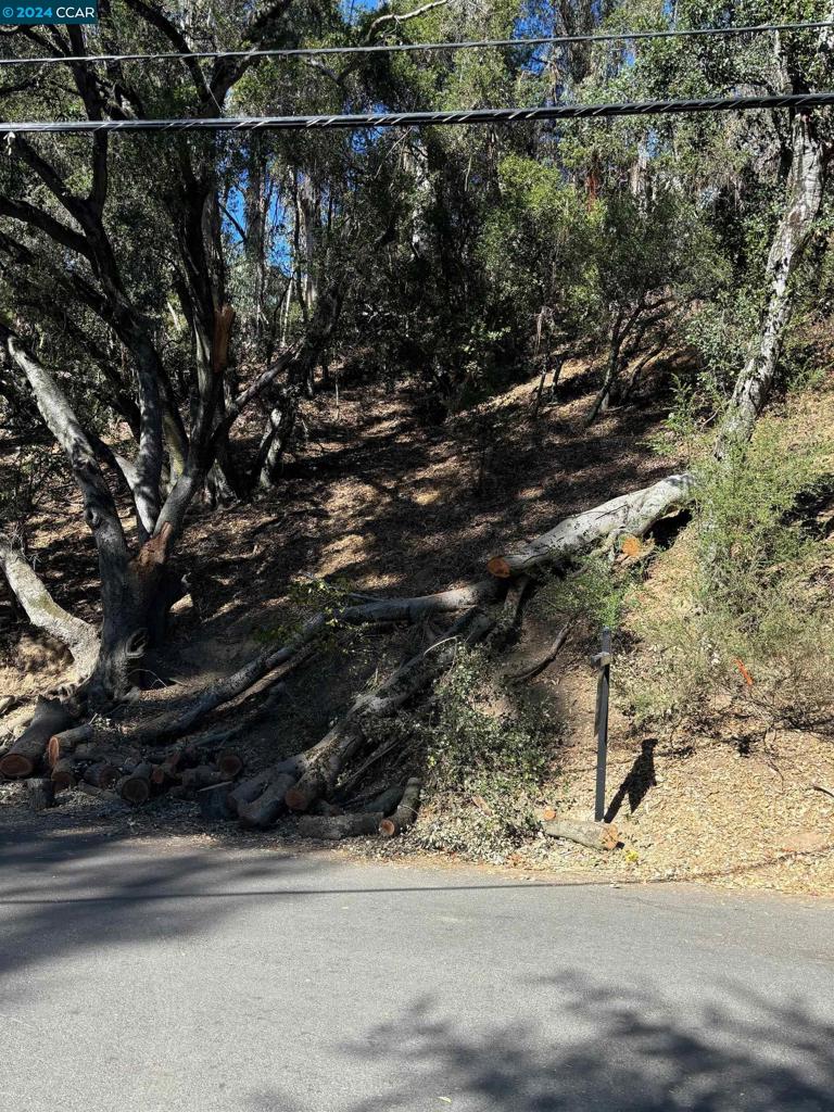 Montclair upslope lot, walking distance to Montclair Village. Great location!