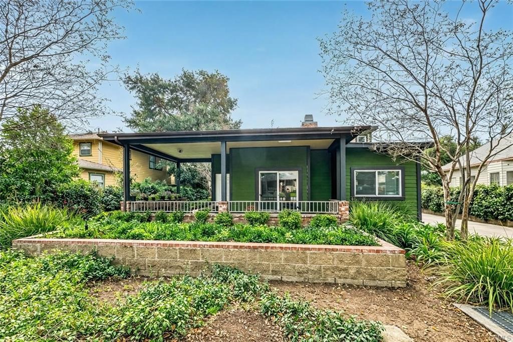 537 Cypress
