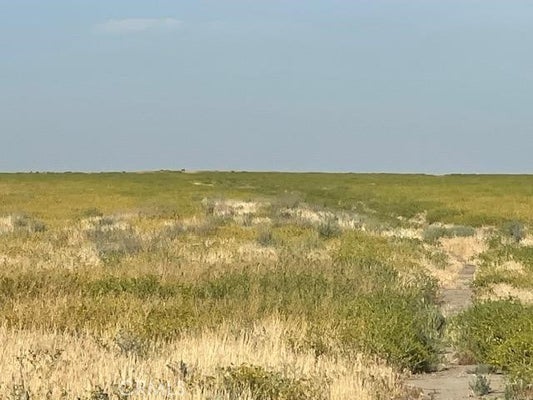 CANAL RD, CORCORAN, CA 93212 - Image ff663fbe9b6eb472bf3d3a781dee00cf/1388546098