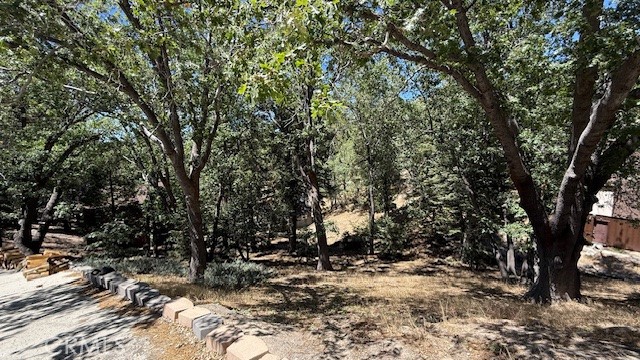 736 Dahlia Drive