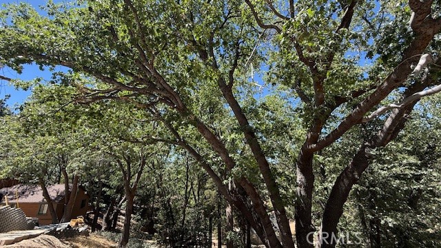 736 Dahlia Drive