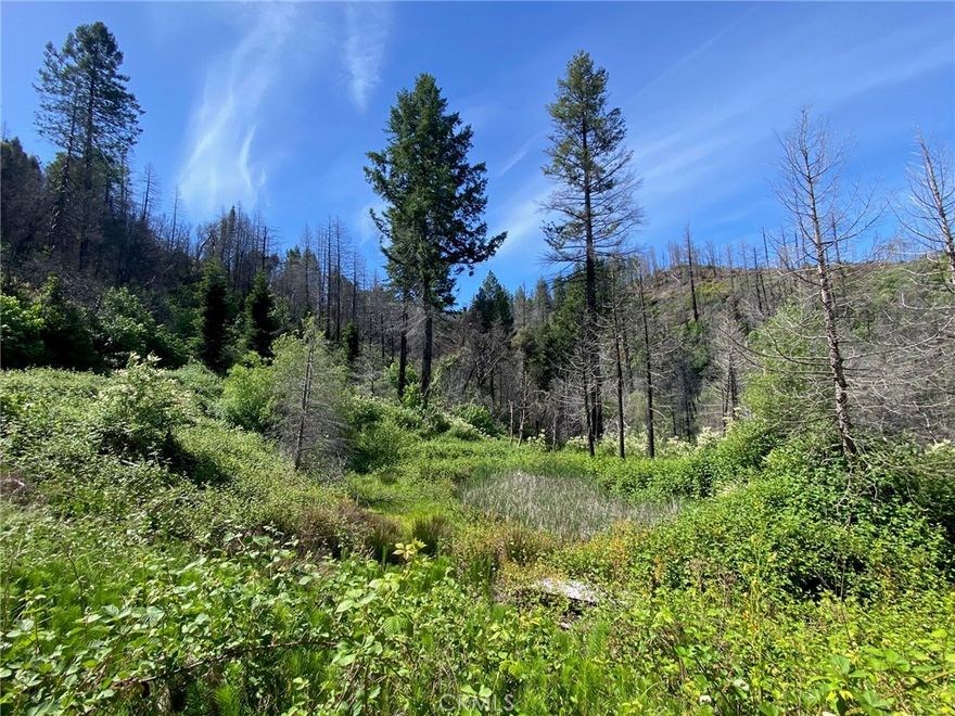 Welcome to 10.6 acres right on Berry Creek! The creek runs right though the property and you have your own private waterfall with a swimming hole at the top of the waterfall!!! This waterfall is breathtaking! The previous house burned in the Bear Fire, but underground power has already been completed and restored. There is a well and septic on the property which condition is currently unknown. There is also a spring on the property that water can be pumped from. Some cleanup is still being done on the property and the driveway to gain easier access to the pad where the home once stood, but the potential is endless. This property also has a pond, beautiful mountainous views, and the sound of rushing water which really makes this feel like a peaceful and serene haven.