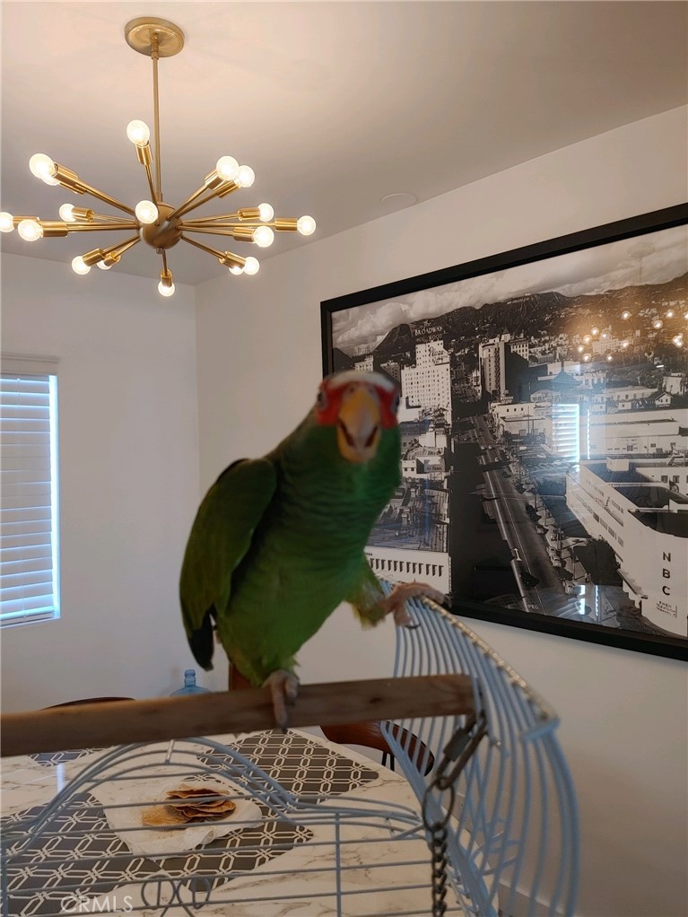 Ranch Club Estados (33244) - Residential Lease