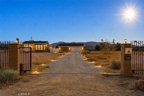 Photo of 11152 E Avenue V12, Littlerock, CA 93543 (MLS # GD26138300)
