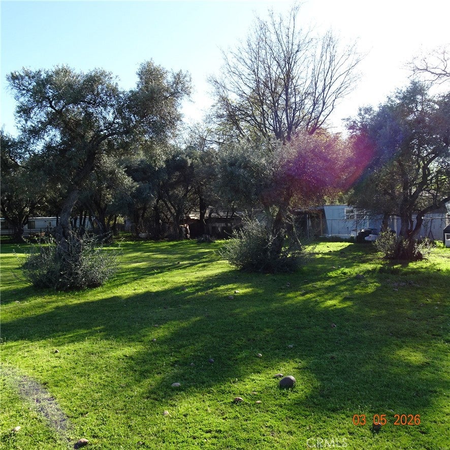 2549 Palermo Road