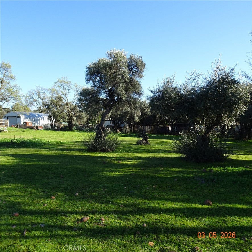 2549 Palermo Road