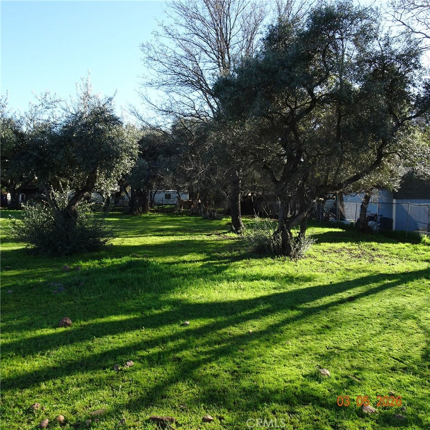 2549 Palermo Road
