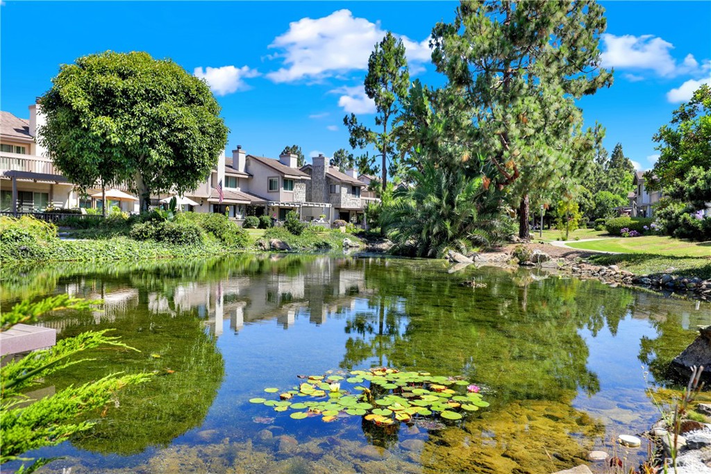 Mill Pond (MP) - Residential