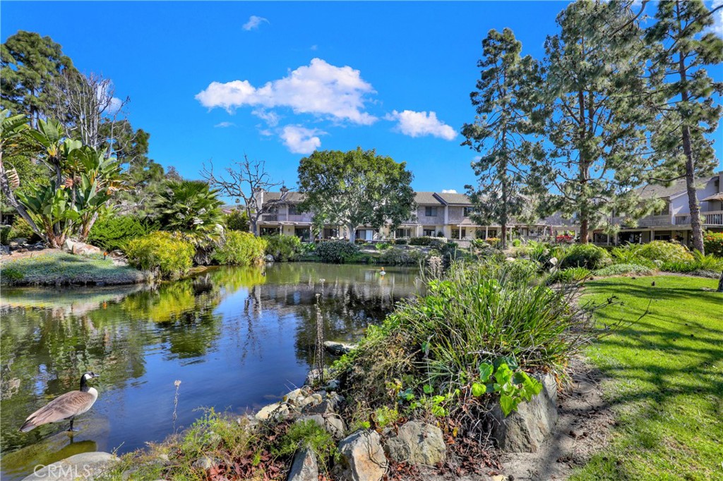 Mill Pond (MP) - Residential