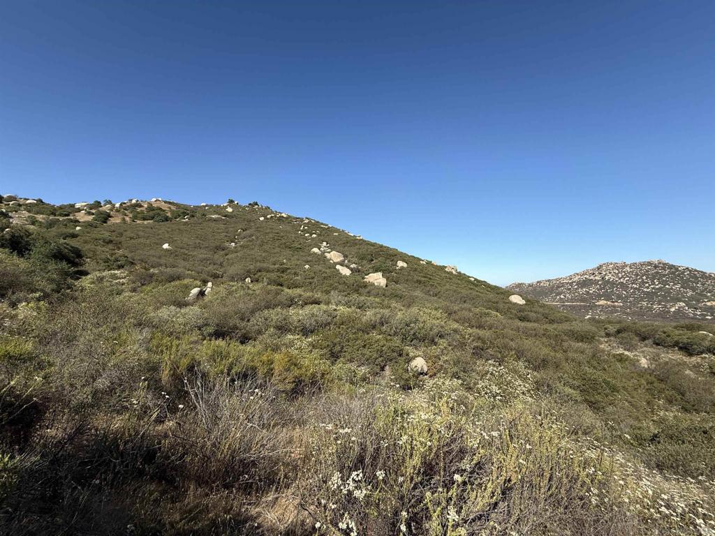 Ramona - Land