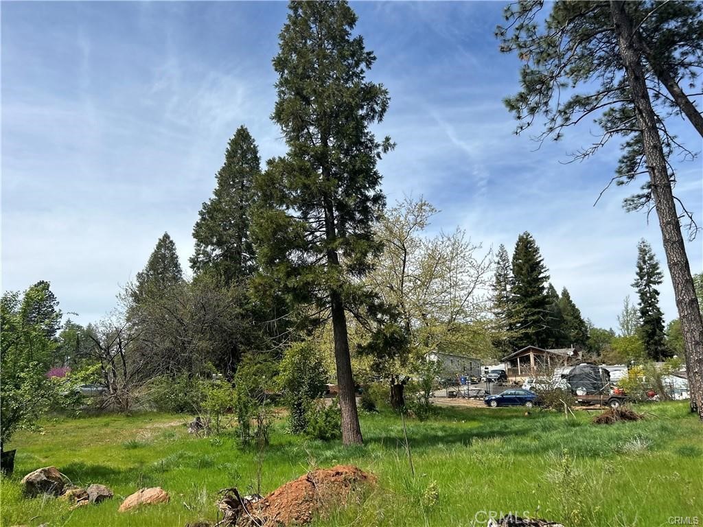 Peace and quiet you will find this quarter acre level lot at the end of the cul-de-sac. Septic has been inspected, pumped and tank and leach lines are in working order seasonal creek on east end of lot. No active water and no survey