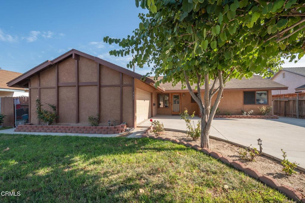 Fillmore - 1487 - Residential