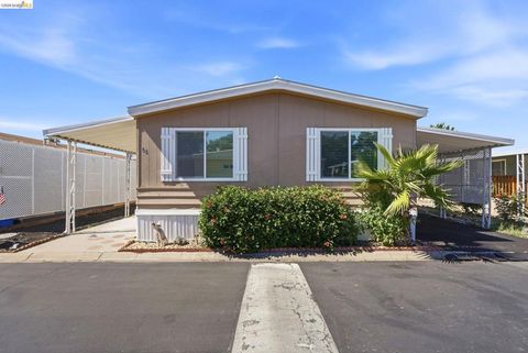 Photo of 4603 Balfour Rd, Brentwood, CA 94513 (MLS # 41138232)