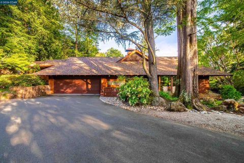 Photo of 1038 Pine Ln LN, Lafayette, CA 94549 (MLS # 41133676)