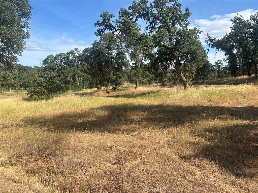 Investment opportunity! Undeveloped land close to lake, shopping and dining. Three parcels being sold together 16345,16356,16366 38th Ave