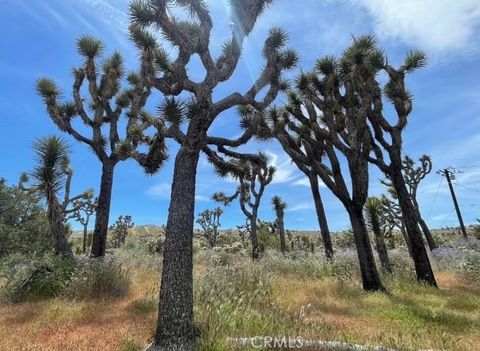 Photo of 7777 Onaga Trail, Yucca Valley, CA 92284 (MLS # JT26060851)