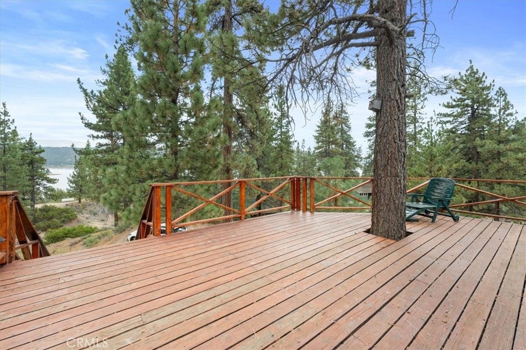 376 Big Bear