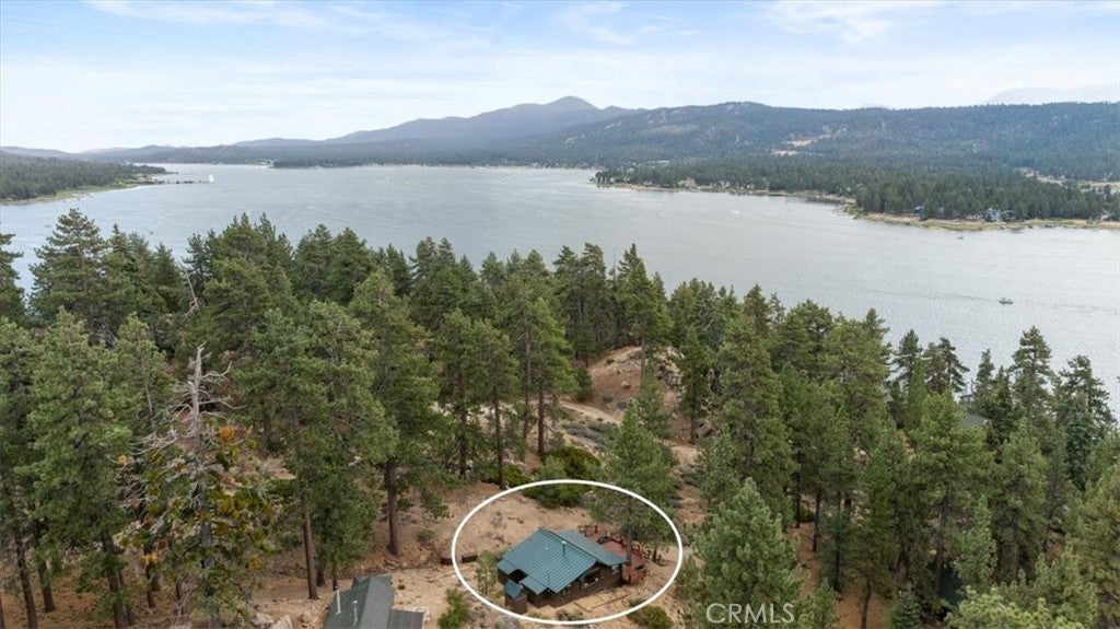 376 Big Bear