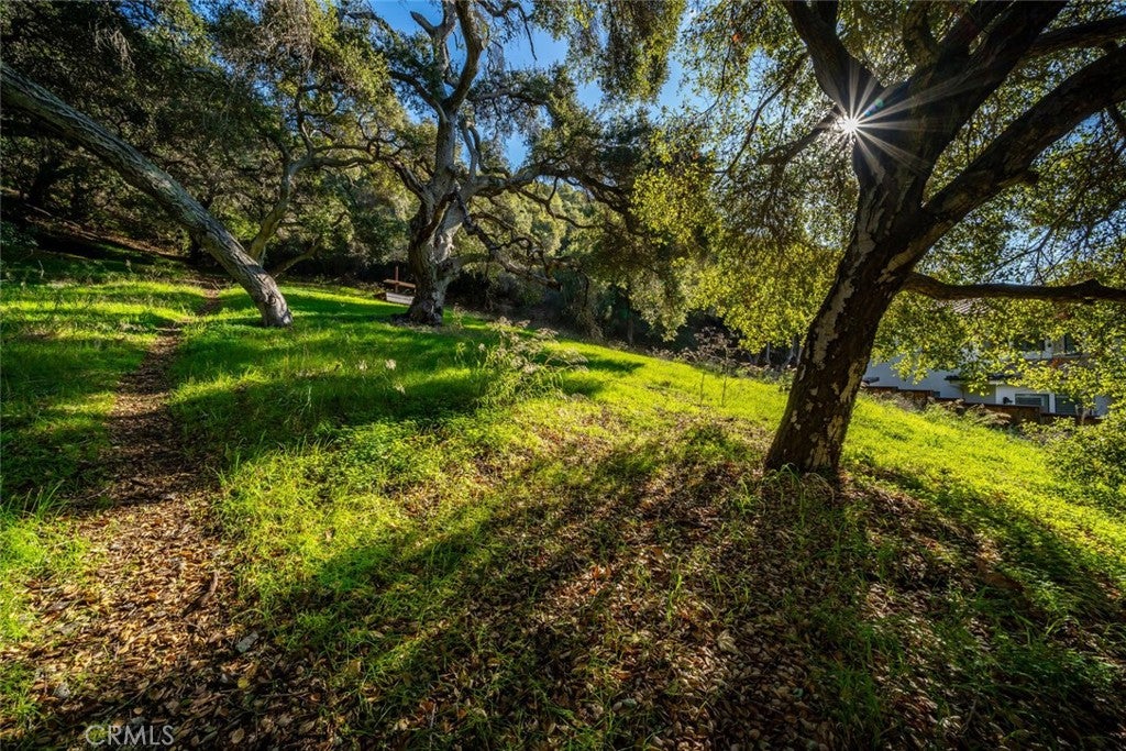 2171 San Luis Drive