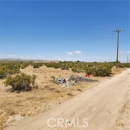 10 acres of undeveloped rural land located near HWY 395. Large electrical poles are at the street frontage. Nearby homes use the following utilities septic, water well, propane and connected to the local electrical co. This lot is located between Aster Rd & Rhode Island St, road access on both sides. Located 5-7 minutes from police department, convenience stores & other amenities. No utilities on site, buyer to connect. No fencing. No street address, address used in MLS is for marketing purposes only. Buyer to verify boundaries, zoning and use of land. APN# 0460-271-18 Cash or possible seller financing available with reasonable down payment and terms.