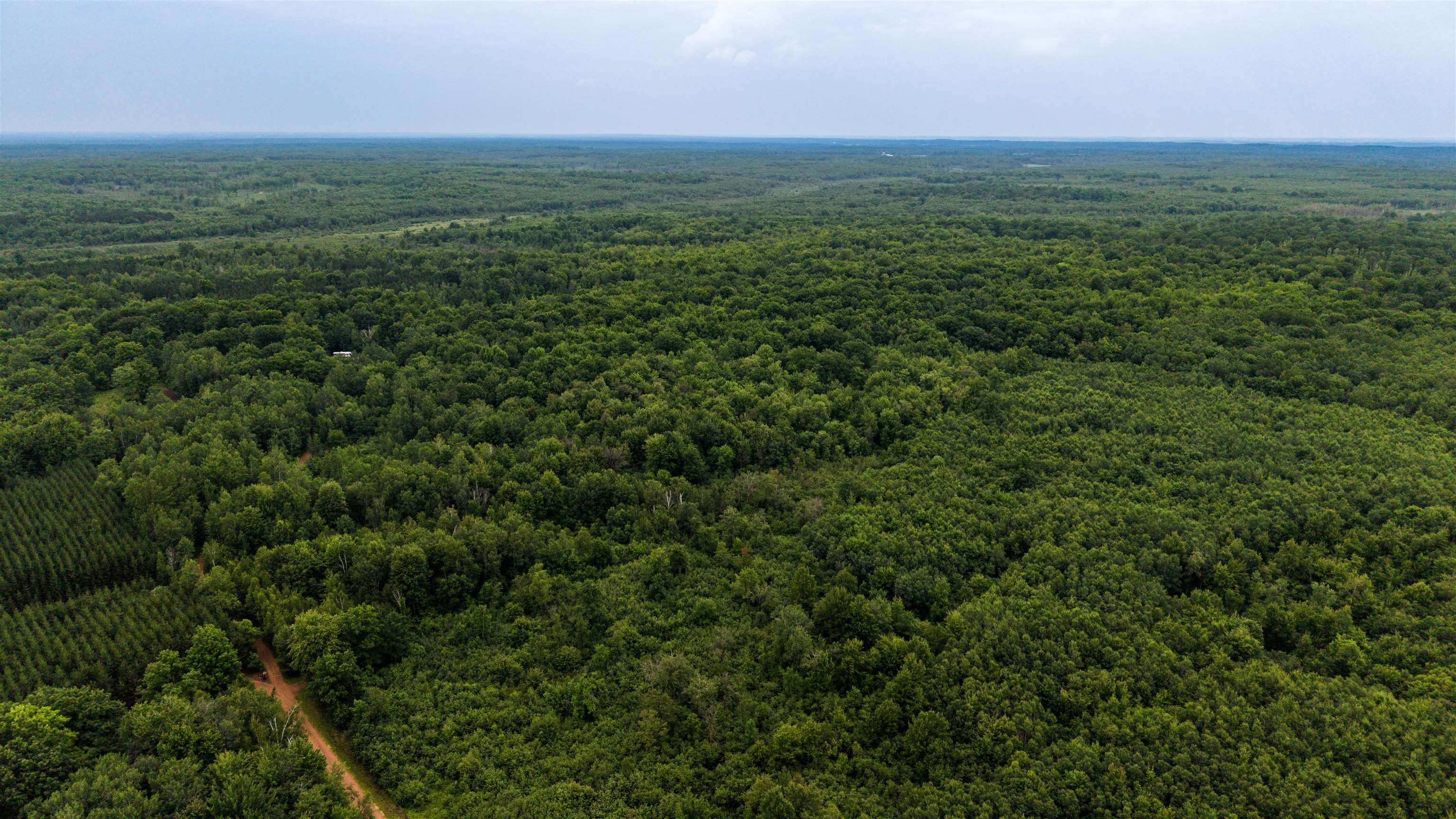 40 Acres ZOGATA ROAD - Photo 2