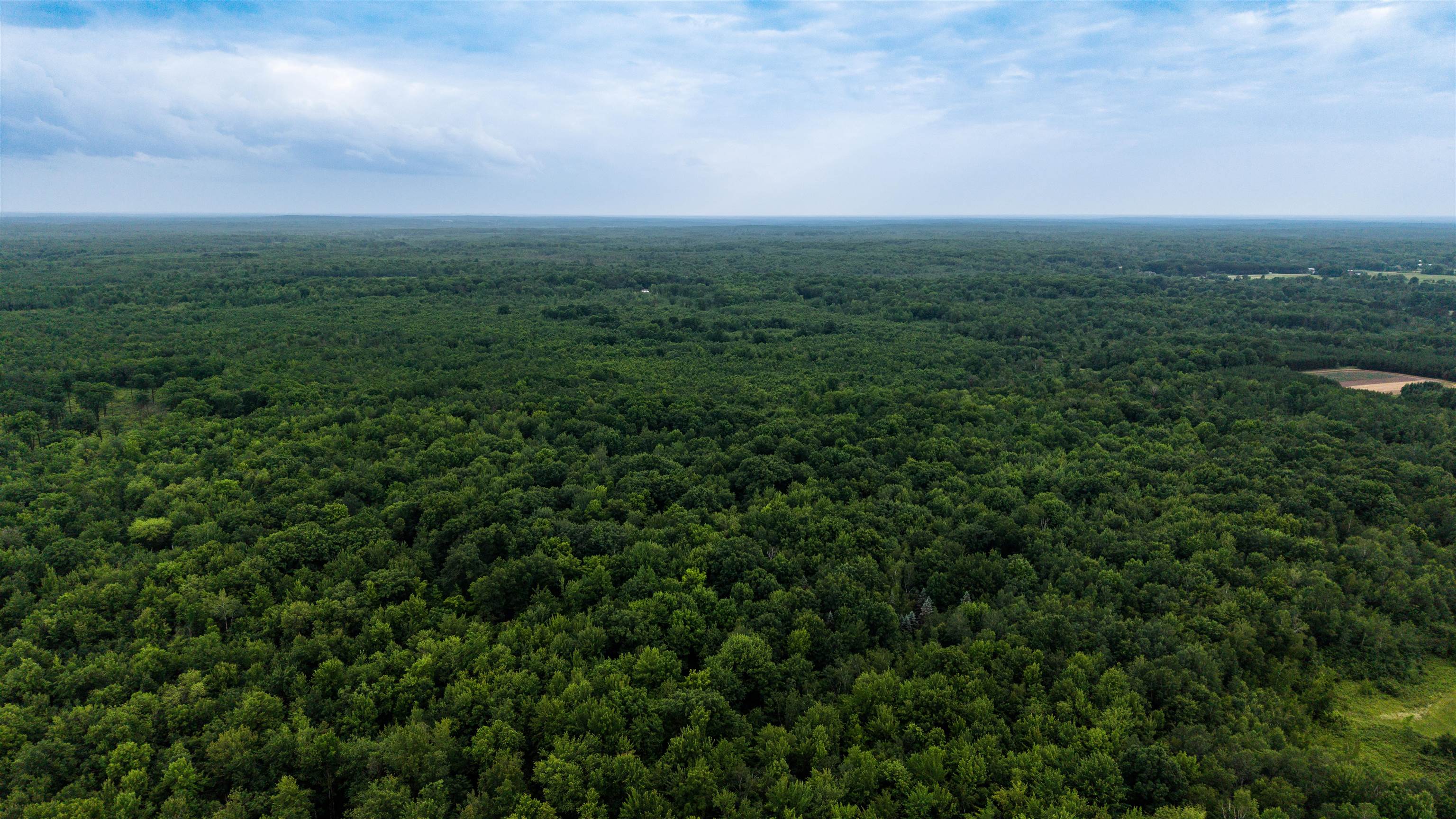 40 Acres ZOGATA ROAD - Photo 4