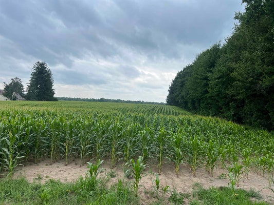 DEER CREEK LN, MARATHON, WI 54448 - Image 145300b0f3fd36a97dcbd6ff9c83aebb/960152909