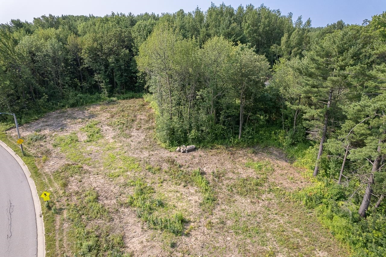 1.5 Acres STATE HGHWAY 153 - Photo 4