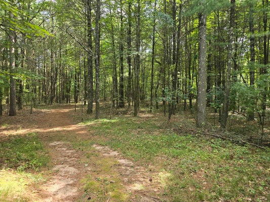 LOT 6 NATURES WAY, WISCONSIN RAPIDS, WI 54494 - Image 2f41c8648b15e3718a18dbcb3dffa884/75987621