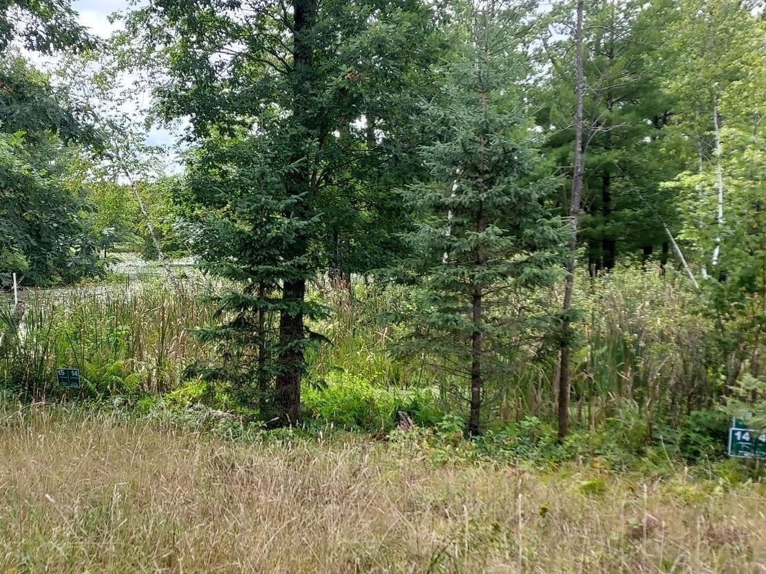 LOT 14 WOOD DUCK TRAIL - Photo 2