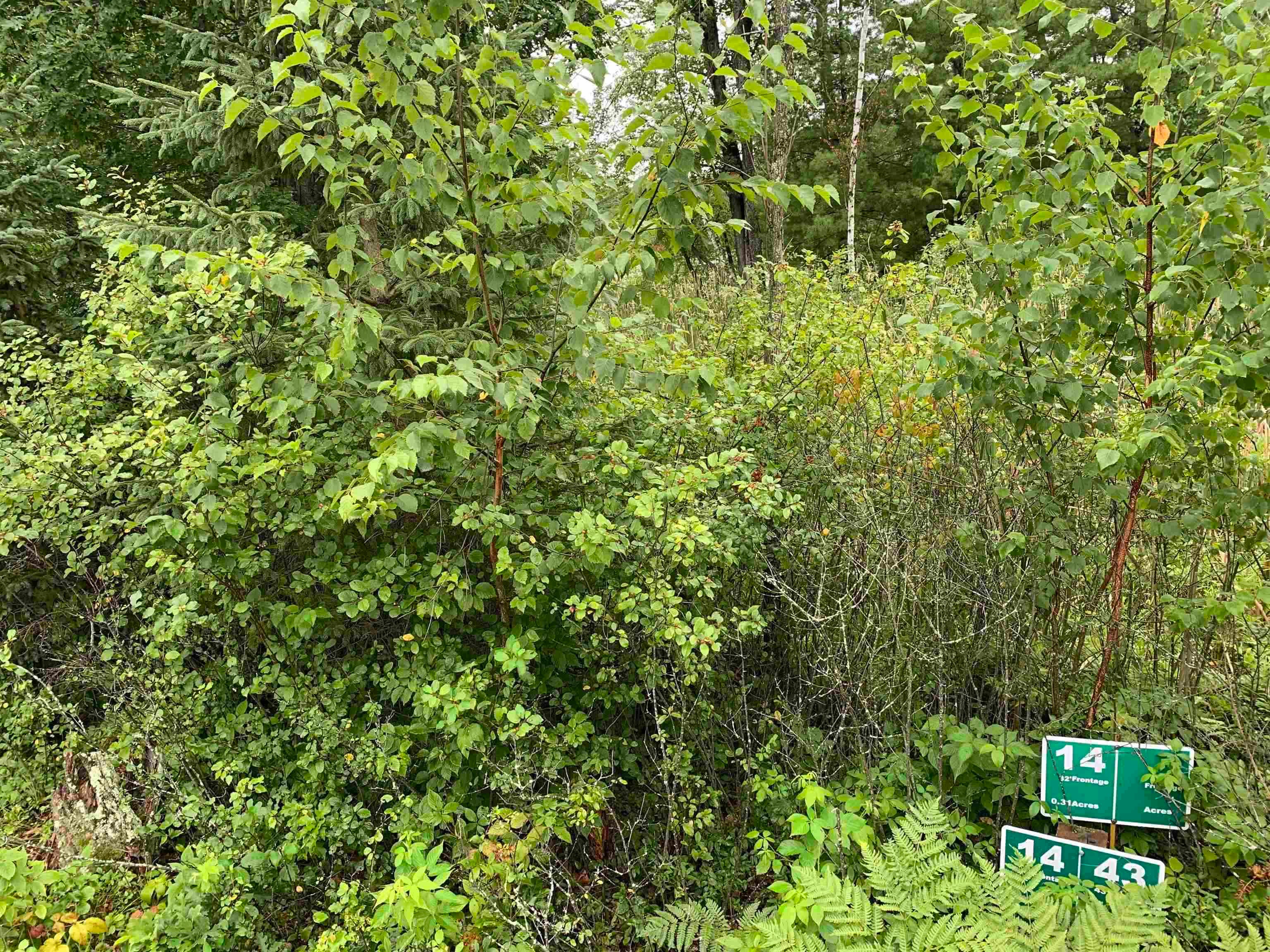 LOT 14 WOOD DUCK TRAIL - Photo 4