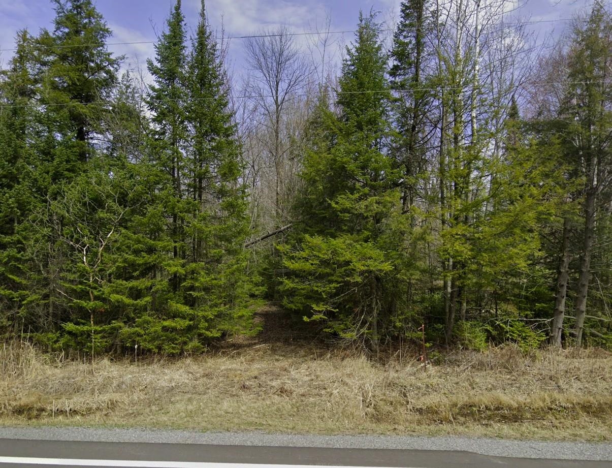 Lot 6 GUSMAN ROAD - Photo 4