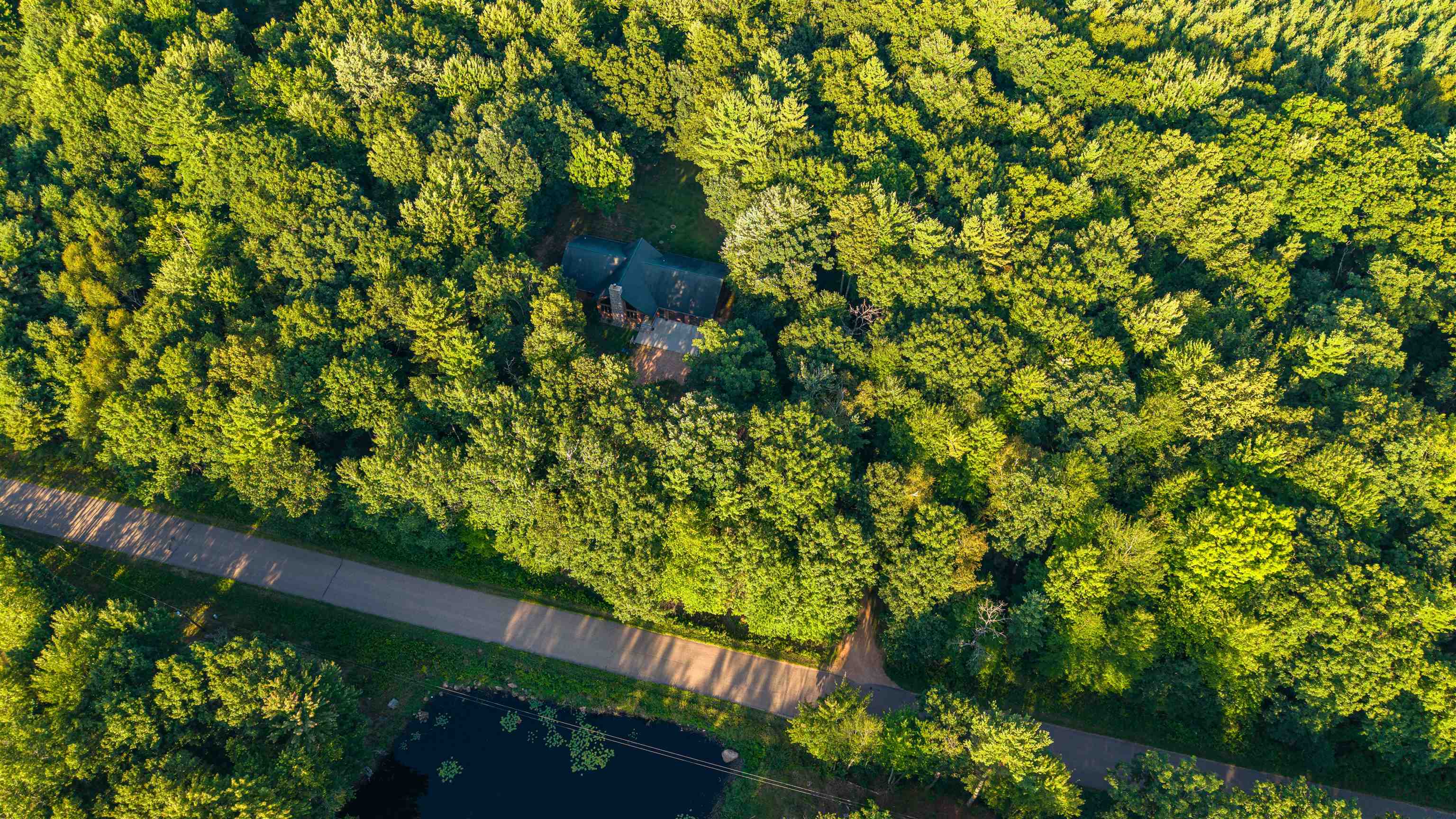 203739 YELLOW BIRCH ROAD - Photo 3