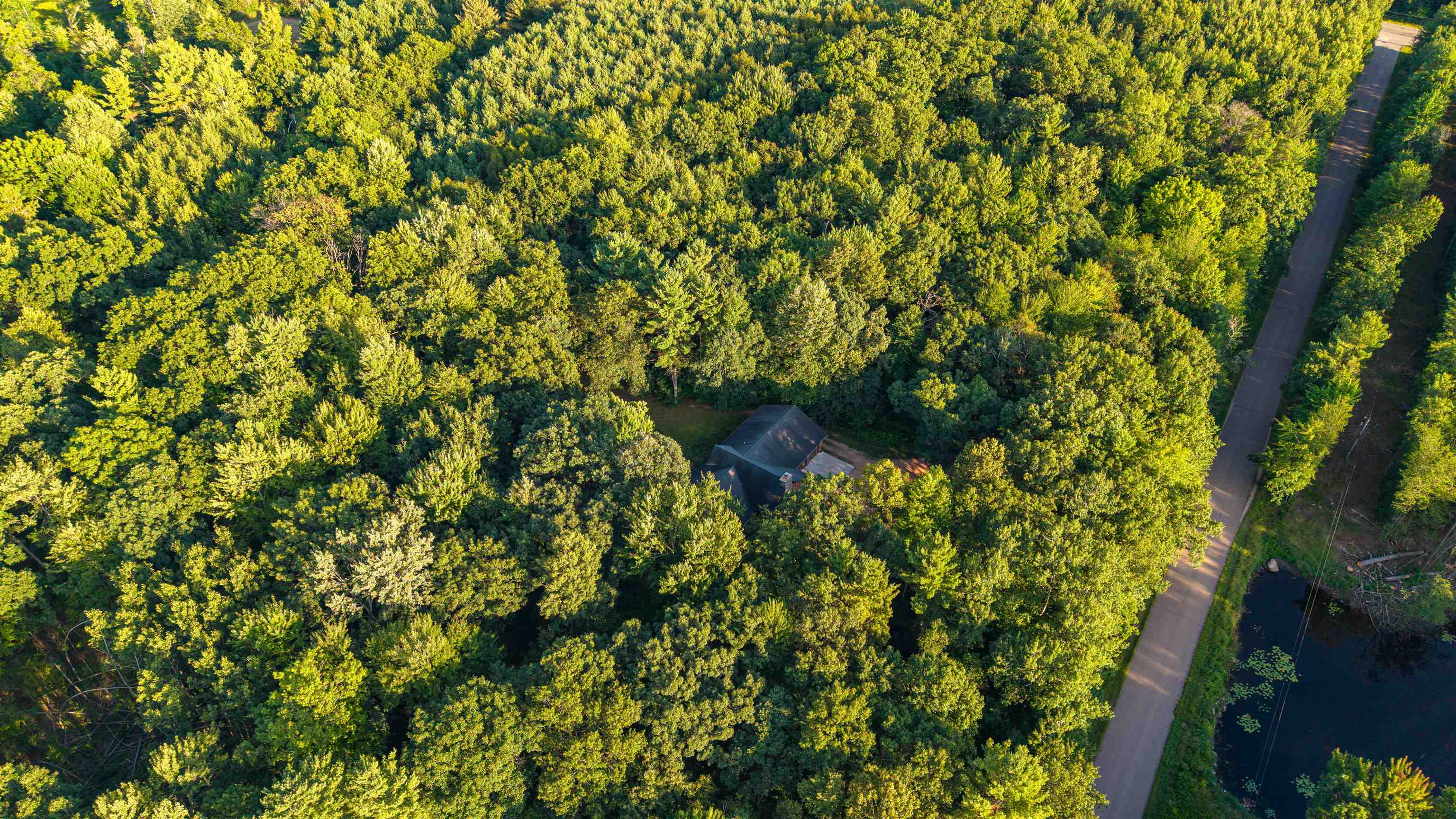 203739 YELLOW BIRCH ROAD - Photo 4