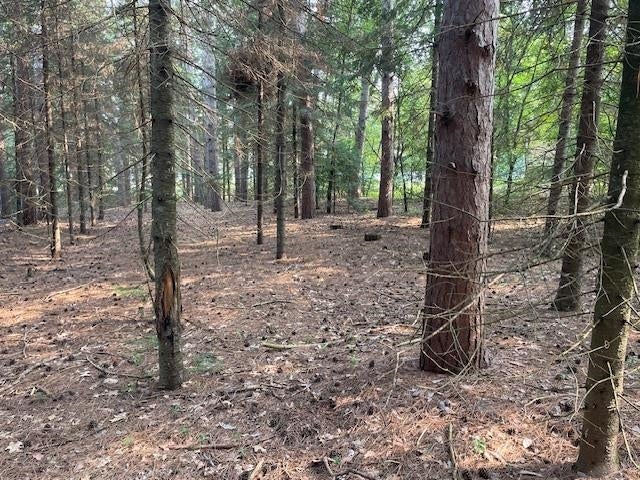 Lot 2 PLANTATION LANE - Photo 4