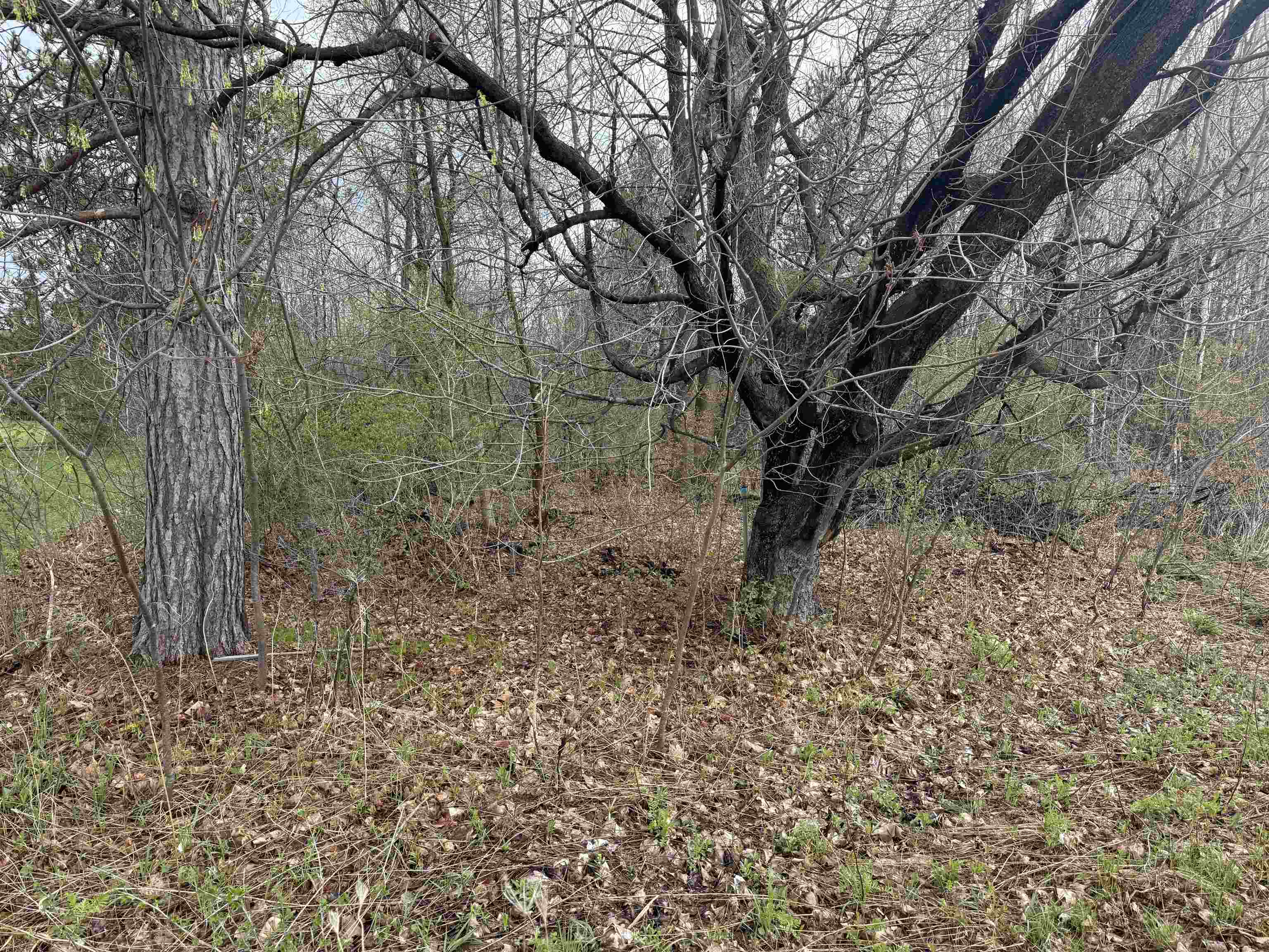 Photo 1 of 10 — 1 acre MOL MERRILL AVENUE, Wausau, WI 54401